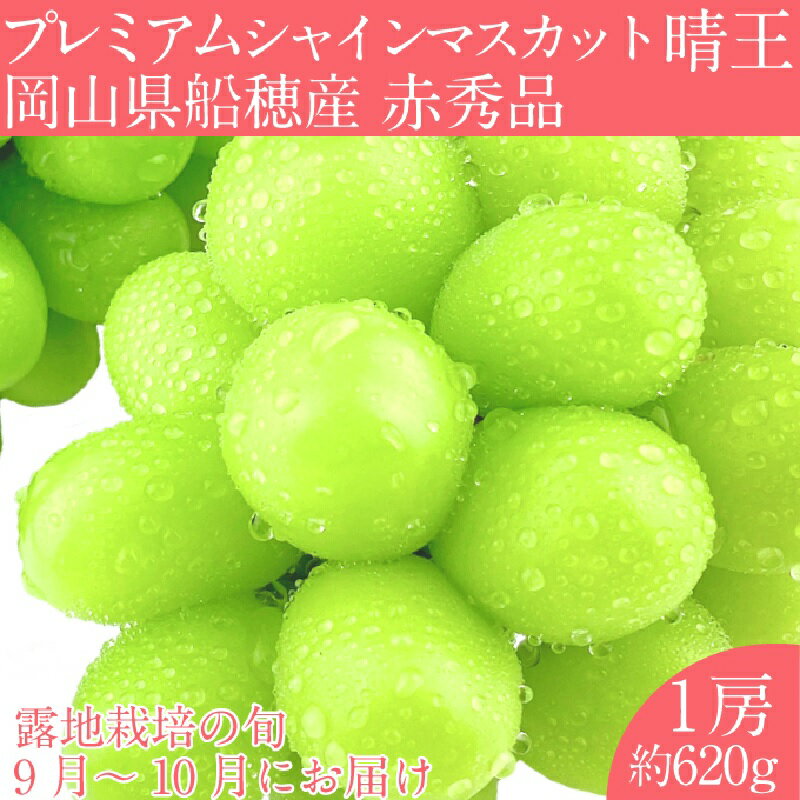 【ふるさと納税】【2025年 予約受付中】 プレミアム シャインマスカット 晴王 1房約620g/ 岡山県 船穂産 赤秀品 種無し 皮ごと食べる みずみずしい 9月10月にお届け フレッシュ 晴れの国 おかやま 果物大国 彩美菜果 お届け:2025年9月上旬~2025年10月下旬
