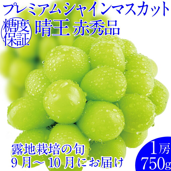 【ふるさと納税】2025年予約受付中 プレミアムシャインマスカット晴王 1房約750g 人気 岡山県産 赤秀品 種無し 皮ごと食べる みずみずしい フレッシュ 晴れの国 おかやま 果物大国 ハレノフルーツ お届け:2025年9月1日~2025年10月31日
