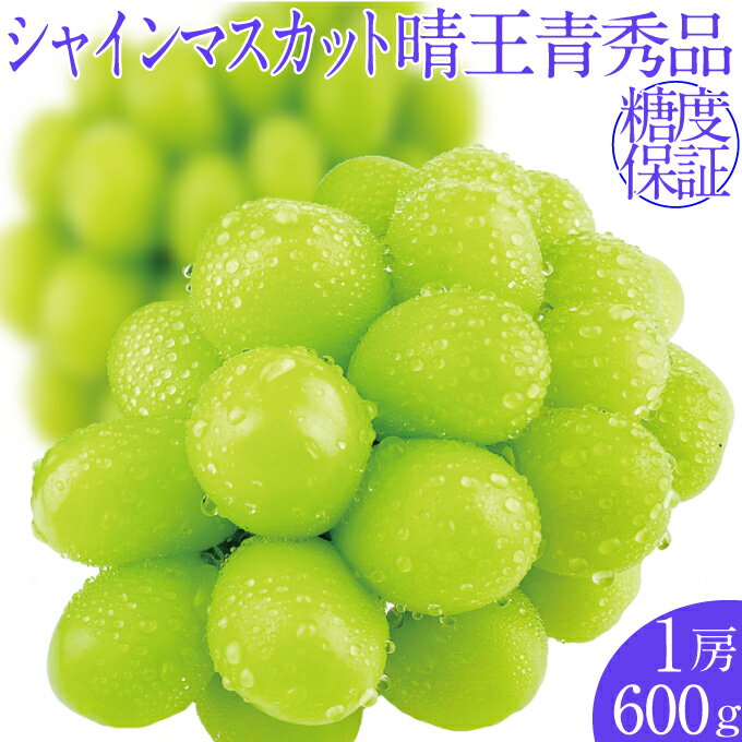 【ふるさと納税】2025年予約受付中 シャインマスカット晴王 1房 約600g 7月~8月出荷 人気 岡山県産 種無し 皮ごと食べる みずみずしい フレッシュ 晴れの国 おかやま 果物大国 ハレノフルーツ お届け:2025年7月1日~2025年8月31日