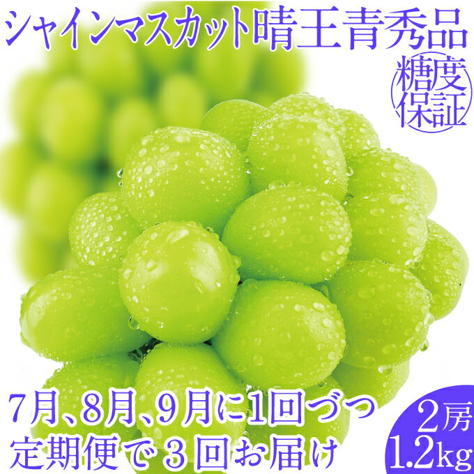 【ふるさと納税】2025年予約受付中【3回定期便】シャインマスカット晴王2房 約1.2kg 7月8月9月に出荷 人気 岡山県産 種無し 皮ごと食べる みずみずしい フレッシュ 晴れの国 おかやま 果物大国 ハレノフルーツ お届け:2025年7月1日~2025年9月30日