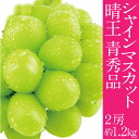【ふるさと納税】2025年予約受付中 シャインマスカット 晴王 7月~8月出荷 2房 約1.2kg 人気 岡山県産 種無し 皮ごと食べる みずみずしい フレッシュ 晴れの国 おかやま 果物大国 ハレノフルーツ お届け:2025年7月中旬~2025年8月下旬