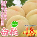 【ふるさと納税】桃 2026年先行予約 岡山県産 白桃 約1.8kg 7~9玉 お届け 7月上旬~7月下旬 お届け:2026年7月上旬~2026年7月下旬