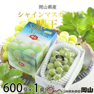 【ふるさと納税】【2025年8月下旬より発送】岡山県産 シャインマスカット 晴王 600g×1房 ぶどう 葡萄 ブドウ フルーツ 果物 お届け:2025年8月20日~2025年11月30日 【ふるさと納税】【2025年8月下旬より発送】岡山県産 シャインマスカット 晴王 600g×1房 ぶどう 葡萄 ブドウ フルーツ 果物 お届け:2025年8月20日~2025年11月30日