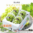【ふるさと納税】【2025年8月下旬より発送】ご家庭用 岡山県産 シャインマスカット 晴王 2kg(3~6房) ぶどう 葡萄 ブドウ フルーツ 果物 お届け:2025年8月20日~2025年11月30日