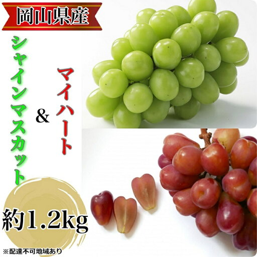 【ふるさと納税】ぶどう 農家こだわりのシャインマスカット&ハート型のマイハート 合計約1.2kg ブドウ 葡萄 岡山県産 国産 フルーツ 果物 ギフト 【 Nini farm 農家 直送 】 お届け:2025年9月1日~2025年10月15日 【ふるさと納税】ぶどう 農家こだわりのシャインマスカット&ハート型のマイハート 合計約1.2kg ブドウ 葡萄 岡山県産 国産 フルーツ 果物 ギフト 【 Nini farm 農家 直送 】 お届け:2025年9月1日~2025年10月15日