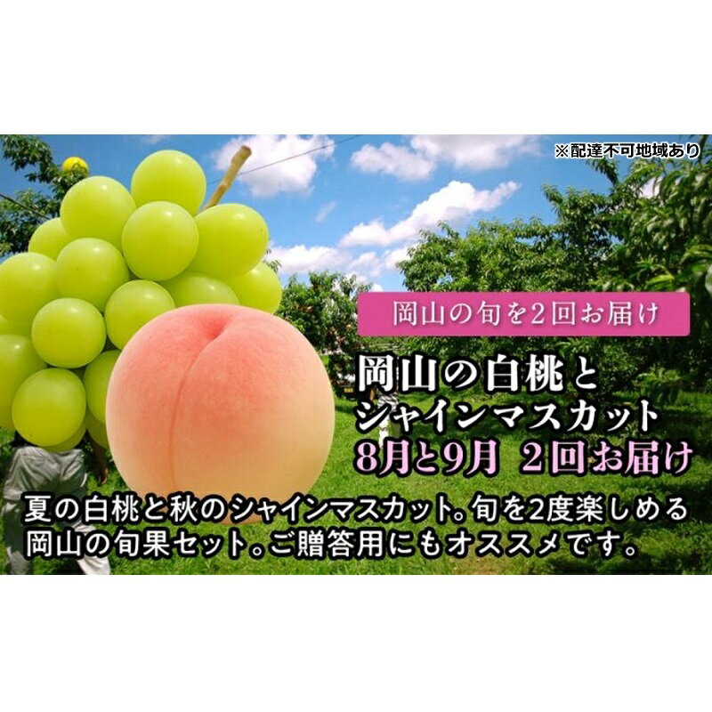 [2026年度発送]岡山の白桃とシャインマスカット 2回 お届け 定期便 (8月・9月)もも モモ シャインマスカット ブドウ 葡萄 岡山県産 国産 フルーツ 果物 お届け:2026年8月下旬〜2026年9月下旬