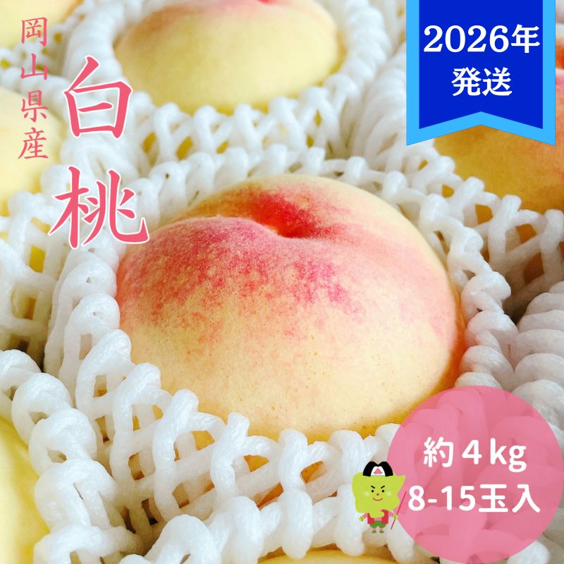 [2026年先行受付] 白桃 岡山 秀品 大玉 約4kg(8〜15玉) 岡山県産 桃 もも モモ 御中元 ギフト 御礼 プレゼント 御礼 御祝 御供 果物 くだもの フルーツ お届け:2026年7月上旬〜2026年8月上旬