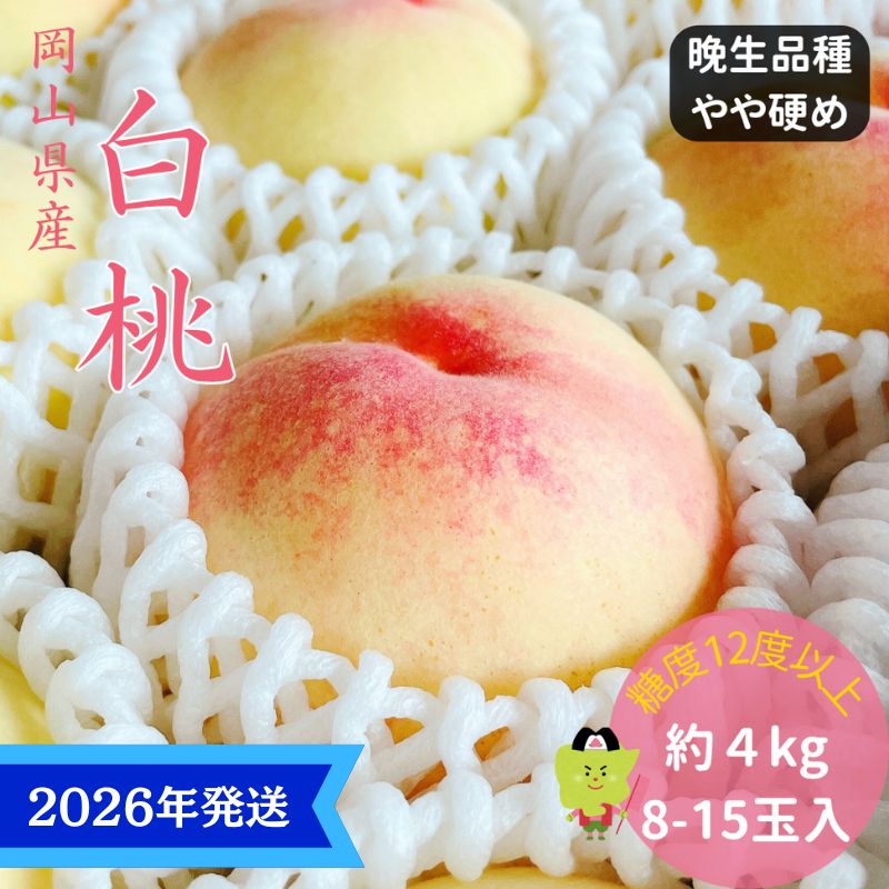 [2026年先行受付] 白桃 特秀 ロイヤル 大玉 晩生品種 約4kg(8〜15玉) 岡山県産 桃 もも モモ 御中元 ギフト 御礼 プレゼント 御礼 御祝 御供 果物 くだもの フルーツ お届け:2026年8月中旬〜2026年9月上旬