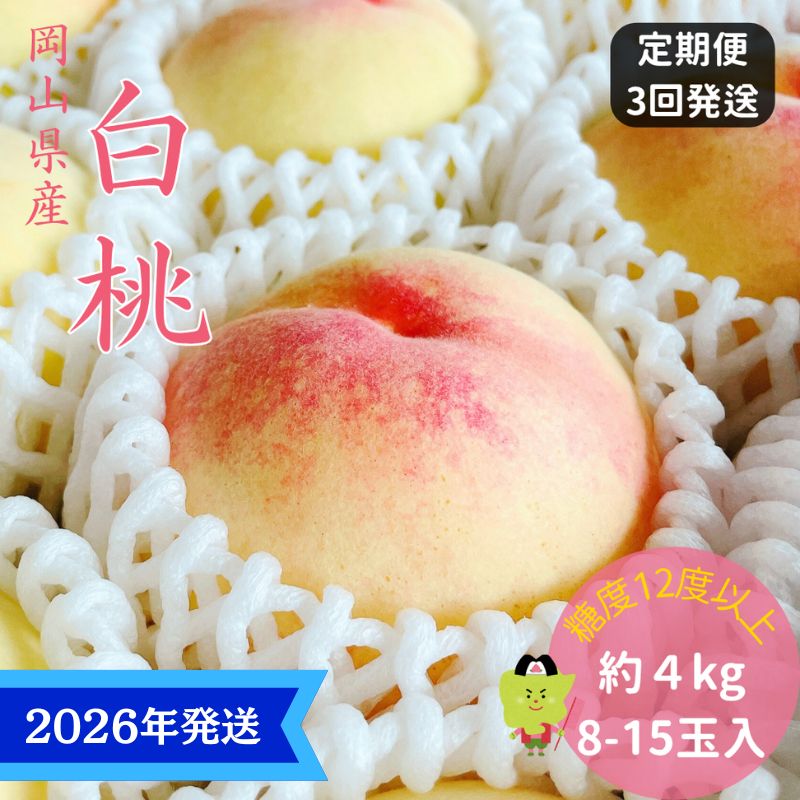 [2026年先行受付] 白桃 3回 定期便 特秀 ロイヤル 大玉 岡山県産 桃 もも モモ 御中元 ギフト 御礼 プレゼント 御礼 御祝 御供 果物 くだもの フルーツ お届け:2026年7月上旬〜2026年8月上旬