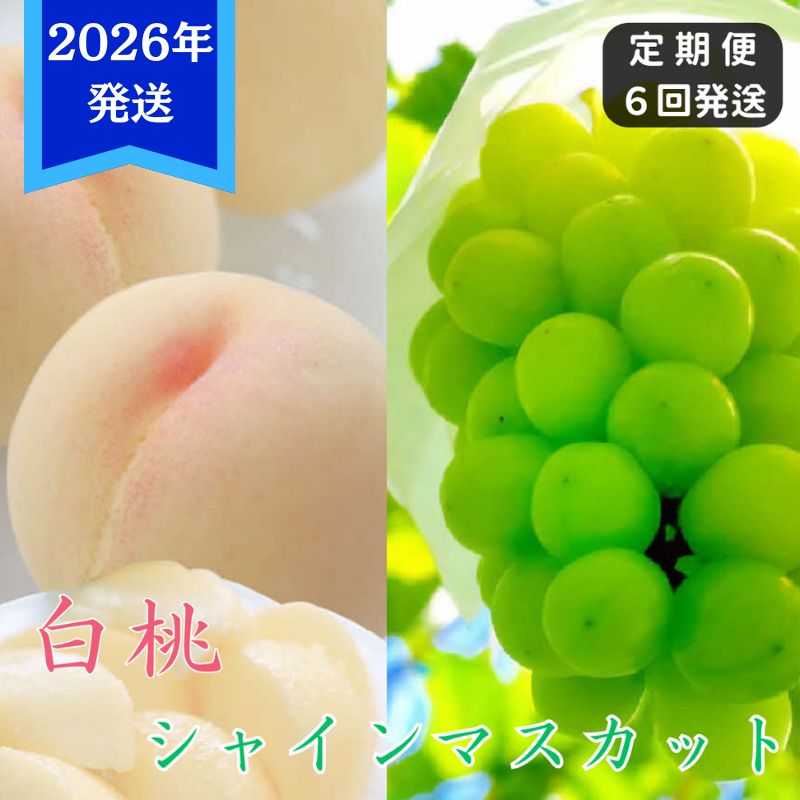 [2026年先行受付] 白桃 シャインマスカット 晴王 6回 定期便 桃 ぶどう 岡山県産 御中元 ギフト 御礼 プレゼント 御礼 御祝 御供 果物 くだもの フルーツ もも モモ 葡萄 ブドウ お届け:2026年7月上旬〜2026年9月下旬