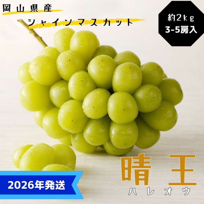 [2026年先行受付] シャインマスカット 晴王 ハウス栽培 約2kg(3〜5房目安) 岡山県産 ぶどう 葡萄 ブドウ 御中元 ギフト 御礼 プレゼント 御礼 御祝 御供 果物 くだもの フルーツ お届け:2026年7月上旬〜2026年8月上旬