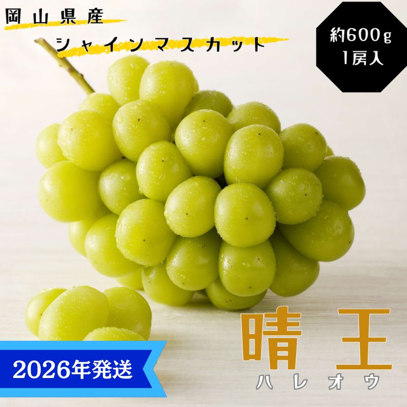 [2026年先行受付] シャインマスカット 晴王 秀品 約600g 1房 岡山県産 ぶどう 葡萄 ブドウ 御中元 ギフト 御礼 プレゼント 御礼 御祝 御供 果物 くだもの フルーツ お届け:2026年8月中旬〜2026年11月上旬