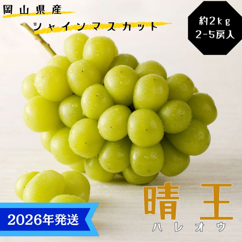 【ふるさと納税】【2026年先行受付】 シャインマスカット 晴王 秀品 大房 約2kg(2～5房) 岡山県産 ぶどう 葡萄 ブドウ ギフト 御礼 プレゼント 御礼 御祝 御供 果物 くだもの フルーツ　お届け：2026年8月中旬～2026年11月下旬