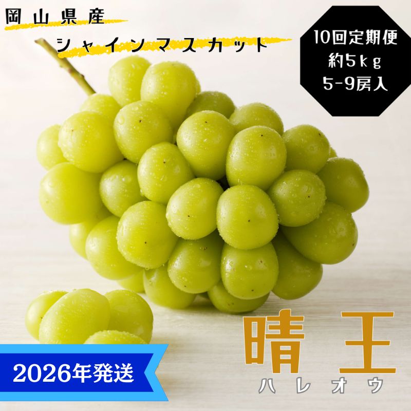 [2026年先行受付] シャインマスカット 晴王 10回 定期便 秀品 大房 岡山県産 ぶどう ギフト 御礼 プレゼント 御礼 御祝 御供 果物 くだもの フルーツ お届け:2026年7月上旬〜2026年11月下旬