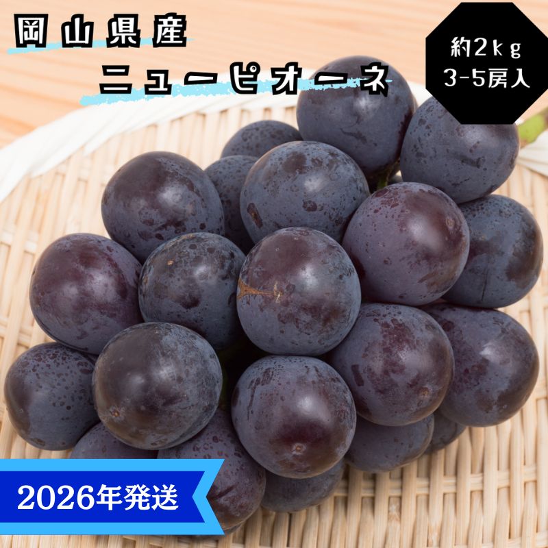 [2026年先行受付] ぶどう ニューピオーネ 秀品 約2kg(3〜5房) 岡山県産 ぶどう 葡萄 ブドウ ギフト 御礼 プレゼント 御礼 御祝 御供 果物 くだもの フルーツ お届け:2026年8月中旬〜2026年9月下旬