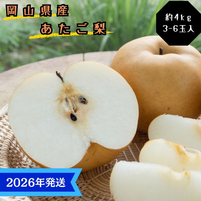 [2026年先行受付] 梨 あたご梨 秀品 約4kg(3〜6玉) 岡山名産 日本一大きな梨 なし ナシ お歳暮 ギフト 御礼 プレゼント 御礼 御祝 御供 果物 くだもの フルーツ お届け:2026年11月下旬〜2026年12月下旬