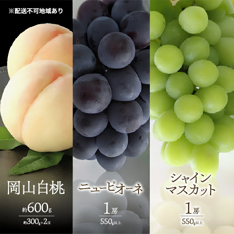 桃 ぶどう 2026年 先行予約 白桃 2玉 合計約600g (1玉約300g) シャインマスカット 晴王 ニューピオーネ 各1房 550g以上 もも 葡萄 詰合せ 岡山 国産 フルーツ 果物 ギフト 桃茂実苑 お届け:2026年6月中旬〜2026年8月中旬