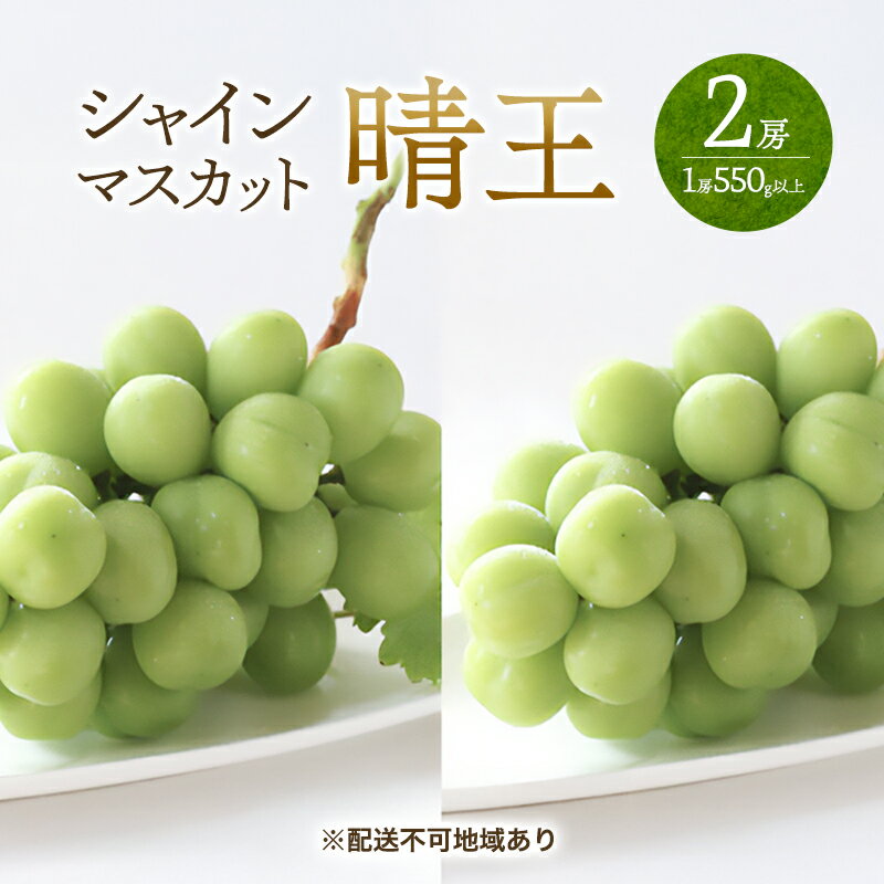 ぶどう 2026年 先行予約 シャイン マスカット 晴王 2房 (1房550g以上) マスカット ブドウ 葡萄 岡山県産 国産 フルーツ 果物 ギフト 桃茂実苑 お届け:2026年6月中旬〜2026年8月中旬