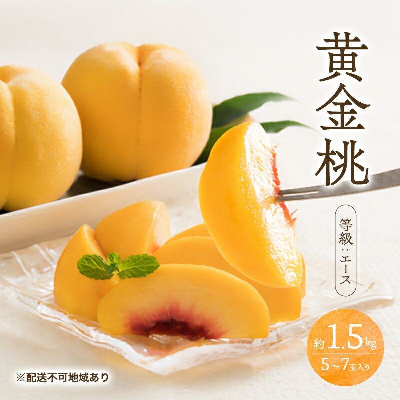 桃 2026年 先行予約 黄金桃 等級 エース 約1.5kg 5〜7玉入り もも モモ 岡山 国産 フルーツ 果物 桃茂実苑 お届け:2026年8月中旬〜2026年9月上旬