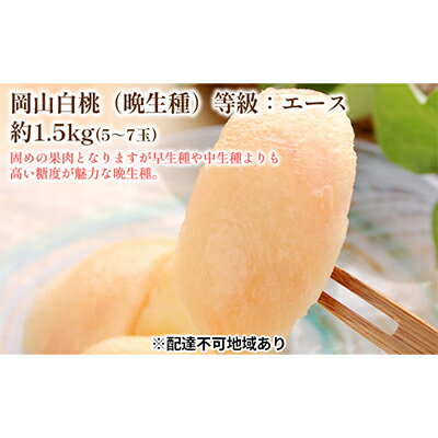 固めの 桃 2026年 先行予約 白桃 晩生種 等級 エース 約1.5kg 5〜7玉 もも モモ 岡山 国産 フルーツ 果物 ギフト 桃茂実苑 お届け:2026年8月下旬〜2026年9月中旬