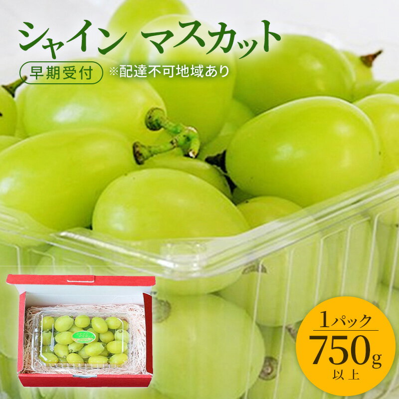 ぶどう 早期受付 シャイン マスカット 1パック(750g以上) ブドウ 葡萄 岡山県産 国産 フルーツ 果物 ギフト 桃茂実苑 お届け:2026年10月上旬〜2027年1月下旬