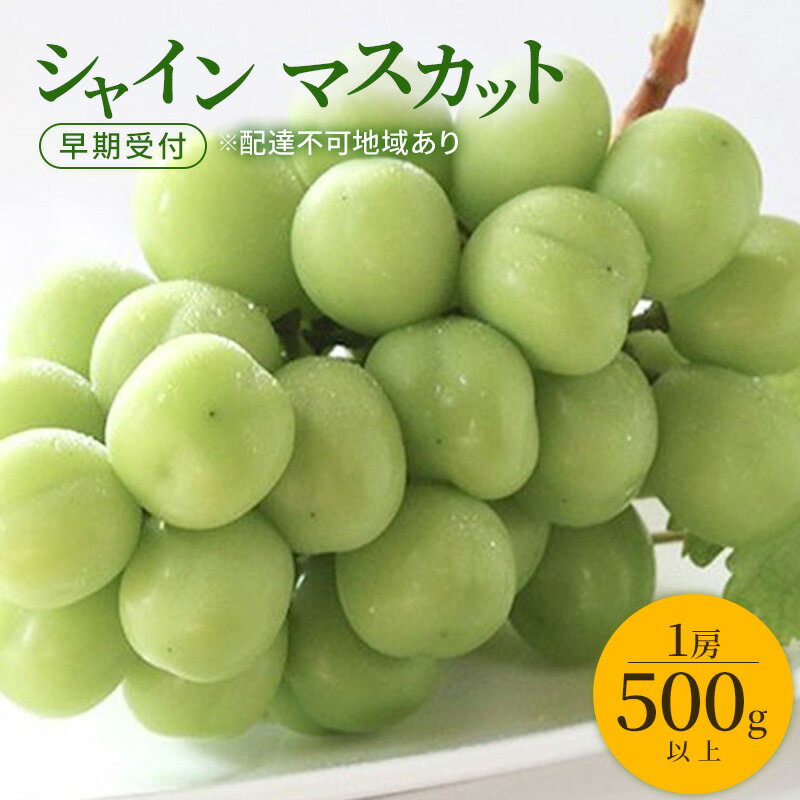 ぶどう 早期受付 シャイン マスカット 1房(500g以上) ブドウ 葡萄 岡山県産 国産 フルーツ 果物 ギフト 桃茂実苑 お届け:2026年10月下旬〜2027年1月下旬