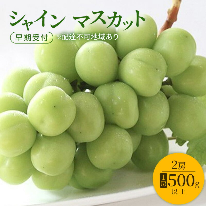 ぶどう 早期受付 シャイン マスカット 2房(1房500g以上) ブドウ 葡萄 岡山県産 国産 フルーツ 果物 ギフト 桃茂実苑 お届け:2026年10月上旬〜2027年1月下旬