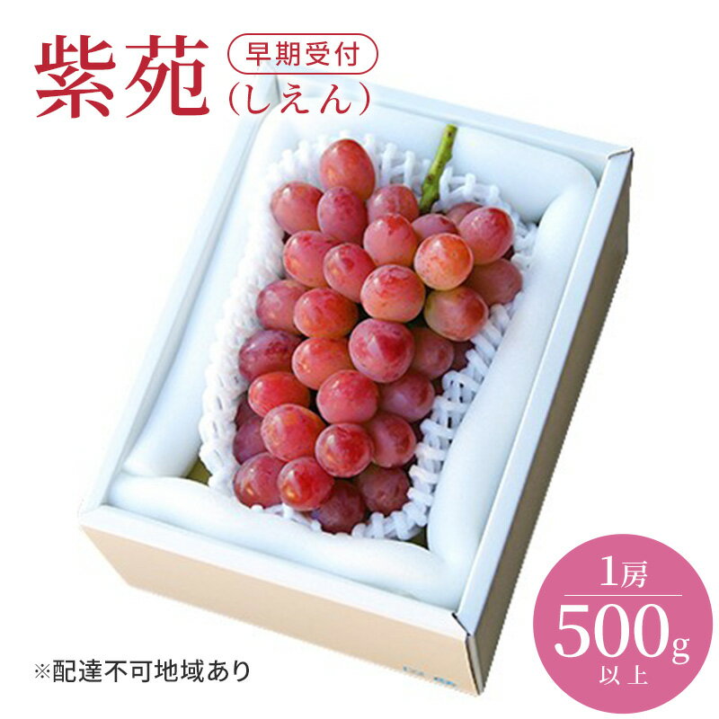 ぶどう 早期受付 紫苑 (しえん)1房(500g以上) ブドウ 葡萄 岡山県産 国産 フルーツ 果物 ギフト 桃茂実苑 お届け:2026年11月上旬〜2026年12月下旬