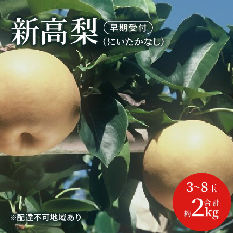梨 早期受付 新高 梨 (にいたかなし)3〜8玉 合計約2kgなし ナシ 岡山県産 国産 フルーツ 果物 ギフト桃茂実苑 果物類 先行予約 お届け:2026年10月中旬〜2026年11月下旬