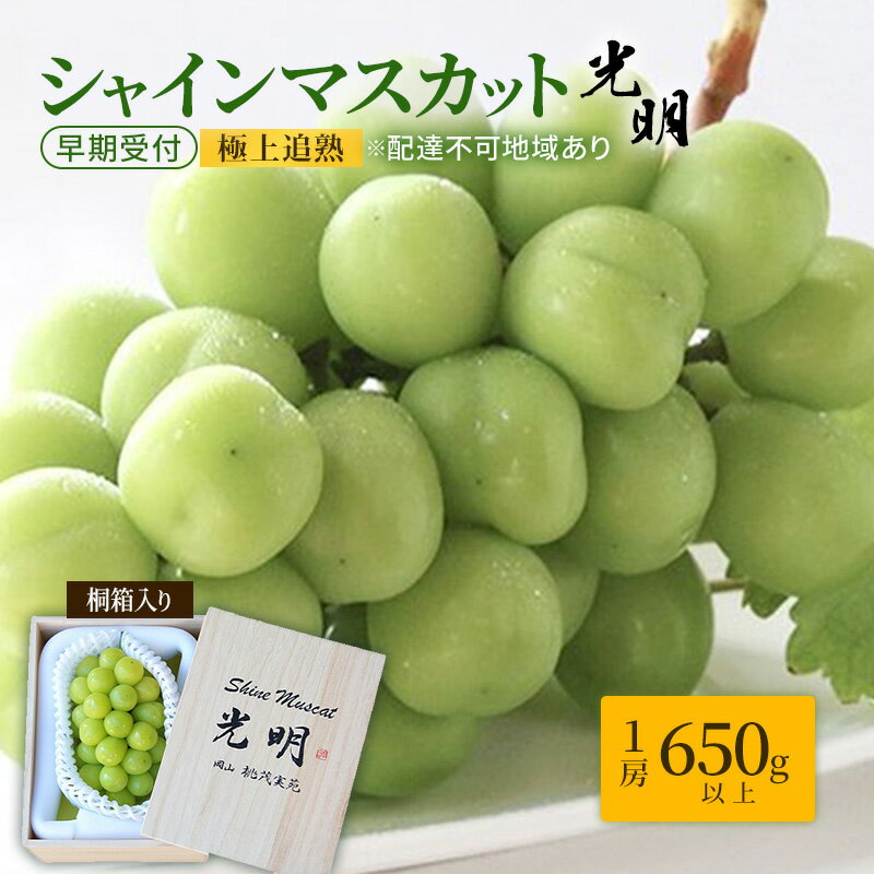 ぶどう 早期受付 極上追熟 シャイン マスカット 1房 650g以上 「光明」桐箱入り ブドウ 葡萄 岡山県産 国産 フルーツ 果物 ギフト 桃茂実苑 お届け:2026年10月中旬〜2026年12月下旬