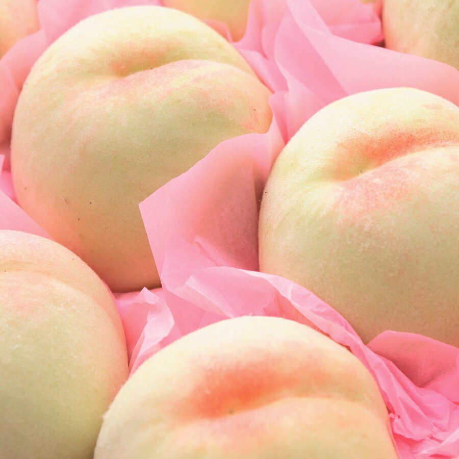 水蜜桃 スイミツトウ とは 白桃との違いやおいしく食べる方法を紹介 Botanica