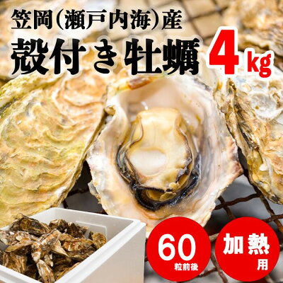 楽天ふるさと納税　【ふるさと納税】 牡蠣 笠岡産（ 瀬戸内海産） 殻付き牡蠣 S・Mサイズ混合 4kg（加熱用） 60粒前後 かき 発送時期が選べる 貝