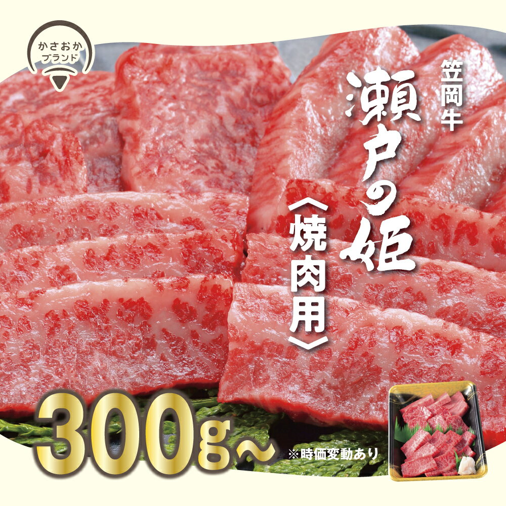 瀬戸の姫(焼肉用)牛肉 焼肉 さし BBQ