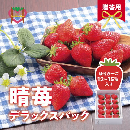 【先行受付】しあわせ届けるいちご農園HappyComeComeの晴苺(はれいちご)450gハレの日に晴苺(はれいちご)＜2023年12月中旬から発送開始予定＞B-90a