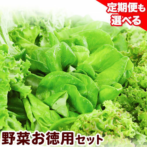 【ふるさと納税】【無農薬！開けてそのまま食べられます！】1-34 植物工場産野菜 お徳用セット 定期便も選べる 無農薬 水耕栽培 野菜 フレッシュ 新鮮 無洗浄