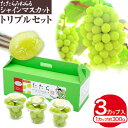 【ふるさと納税】【2025年度産先行予約】 たたらみねらる シャインマスカット トリプルセット 糖度18度以上 甘い 種無し 獲れたて ぶどう ブドウ 葡萄 マ...