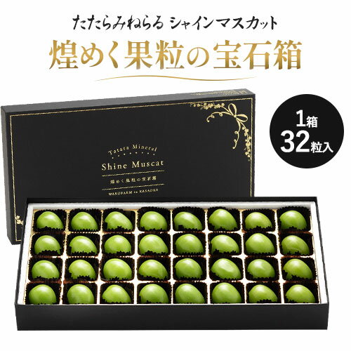 【ふるさと納税】シャインマスカット 岡山 ギフト たたらみねらる 煌めく果粒の宝石箱(2025年産先行受付)糖度18度以上 甘い 種無し 獲れたて ぶどう ブドウ 葡萄 マスカット《2025年8月下旬-10月下旬頃出荷》