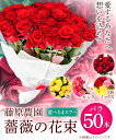 【ふるさと納税】薔薇 50本 愛する人へ 50本の薔薇 選べる 4カラー 株式会社藤原農園【配送不可地域あり】バラ ばら 花束 赤 黄色 ピンク 3色ミックス 薔薇農園 プレゼント 贈り物 送料無料 岡山県 笠岡市≪10月上旬-5月中旬発送予定≫