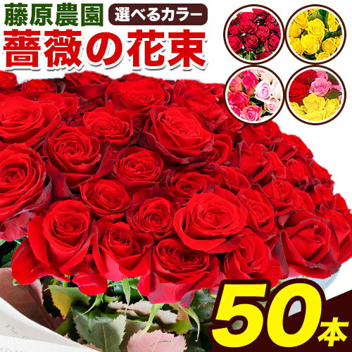 【ふるさと納税】薔薇 50本 愛する人へ 50本の薔薇 選べ