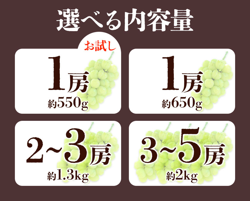 【ふるさと納税】【先行予約】たたらみねらる 瀬戸ジャイアンツ 選べる内容量 Y＆G.ディストリビューター株式会社《2026年8月下旬-10月下旬頃出荷予定》岡山県 笠岡市 マスカット ぶどう ブドウ 葡萄 フルーツ 果物