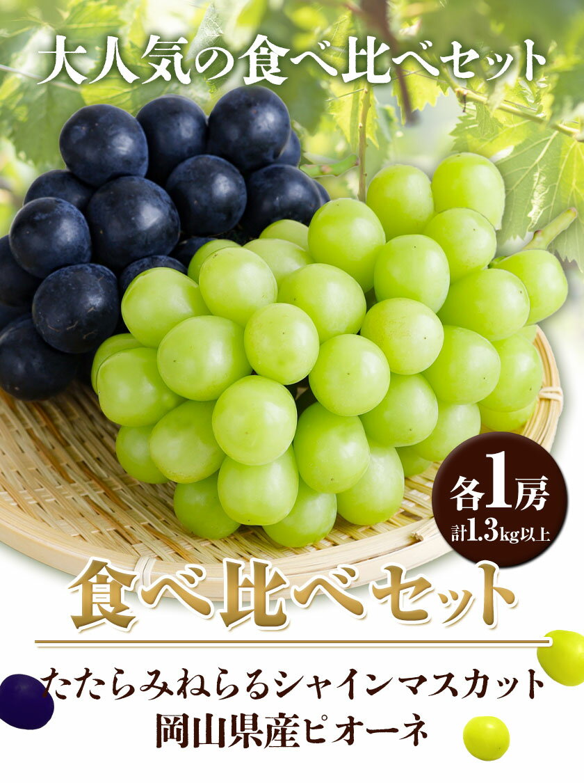 【ふるさと納税】【2025年産先行予約】食べ比べセット たたらみねらる シャインマスカット 岡山県産 ピオーネ 各1房 計1.3kg以上 Y＆G.ディストリビューター株式会社《2025年8月下旬-10月下旬頃出荷》岡山県 笠岡市 マスカット ぶどう ブドウ 葡萄 フルーツ 果物