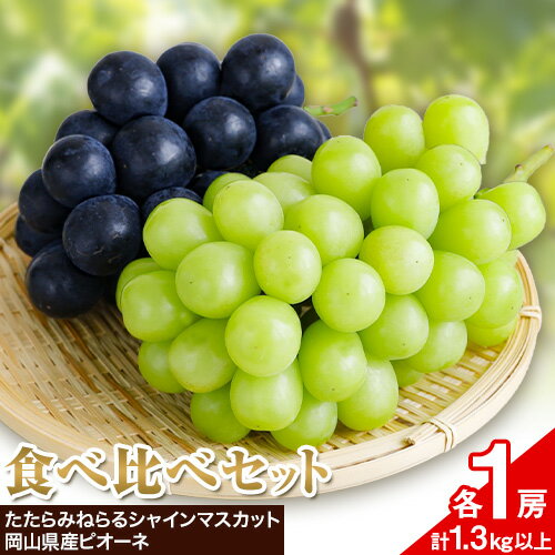 【ふるさと納税】【2025年産先行予約】食べ比べセット たたらみねらる シャインマスカット 岡山県産 ピオーネ 各1房 計1.3kg以上 Y&G.ディストリビューター株式会社《2025年8月下旬-10月下旬頃出荷》岡山県 笠岡市 マスカット ぶどう ブドウ 葡萄 フルーツ 果物 【ふるさと納税】【2025年産先行予約】食べ比べセット たたらみねらる シャインマスカット 岡山県産 ピオーネ 各1房 計1.3kg以上 Y&G.ディストリビューター株式会社《2025年8月下旬-10月下旬頃出荷》岡山県 笠岡市 マスカット ぶどう ブドウ 葡萄 フルーツ 果物