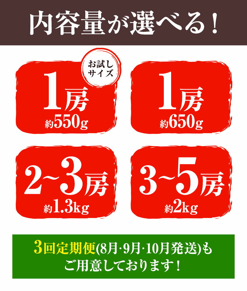【ふるさと納税】【先行予約】 マスカット シャインマスカット 選べる内容量《2026年8月下旬-10月下旬頃出荷予定》たたらみねらる ギフト 糖度18度以上 フルーツ 種無し ぶどう 葡 Y&G．ディストリビューター 岡山県 笠岡市 定期便