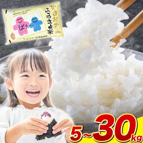 [定期便登場!]選べる内容量と発送時期! 令和7年産 5kg 〜 30kg ふるさと米 備中笠岡 人気品種をお届け! 国産 ヒノヒカリ にこまる きぬむすめ お米 ブランド米 おにぎり 弁当 単一原料米 お取り寄せ 送料無料 岡山県産 内容量が選べる