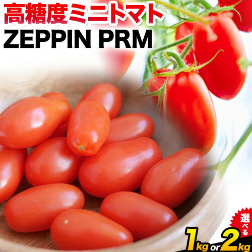 ZEPPIN PRM(プレミアム) 選べる内容量 1kg 2kg 甘い トマト フルーツトマト ミニトマト 野菜 フルーツ ハウス フルーツ感覚 甘い おいしい[120日以内に出荷予定(土日祝除く)]