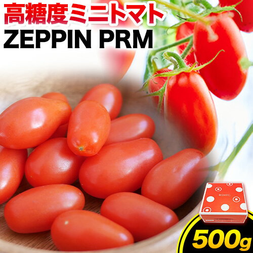 ڤդ뤵ǼǡZEPPINPRM(ץߥ)500gǻٳҥƥ120˽вͽ(˽)մŤޤߤȤޤȥߥ˥ȥޥڲ޲