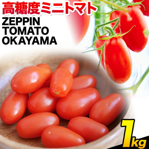 C-39a ZEPPIN TOMATO Okayama 1kg箱(ZEPPIN EX) 平均糖度12度 甘い フルーツトマト