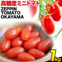 yӂ邳Ɣ[ŁzC-39a ZEPPIN TOMATO Okayama 1kgiZEPPIN EXj@ϓx12x@Â@t[cg}g