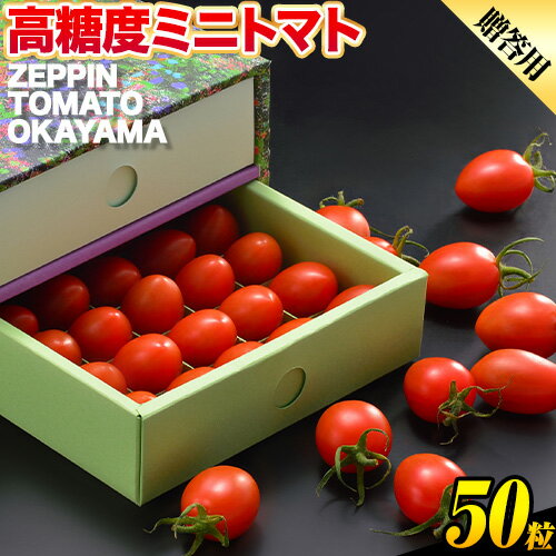 C-36a ZEPPIN TOMATO Okayama 50粒 化粧箱入り(贈答用) 500g 平均糖度12度 甘い フルーツトマト 贈答