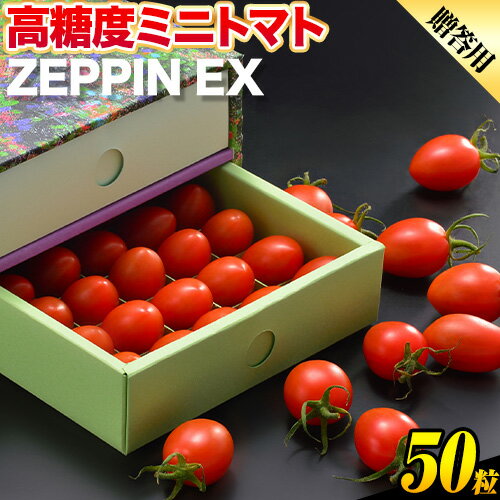 ZEPPIN EX(エクセレント) 50粒 化粧箱入り(贈答用) 500g 平均糖度12度 甘い フルーツトマト 贈答[120日以内に出荷予定(土日祝除く)]